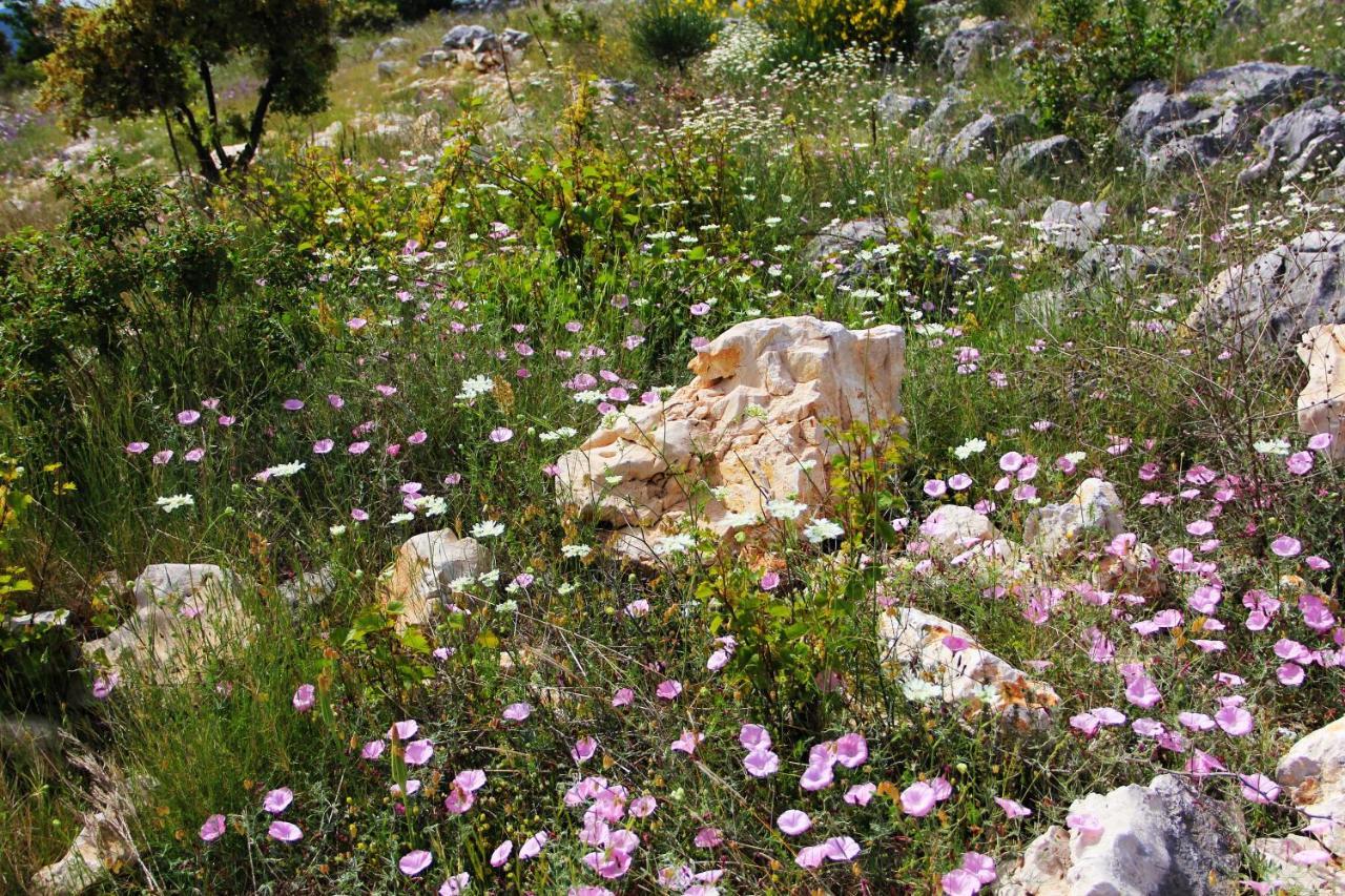 Villa Zlatno Sunce In The Hills Near Trogir Vrsine Экстерьер фото